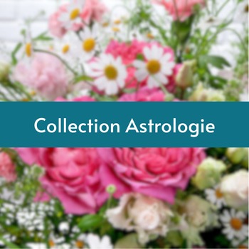 Collection astrologie