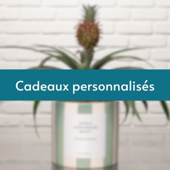 Collection astrologie
