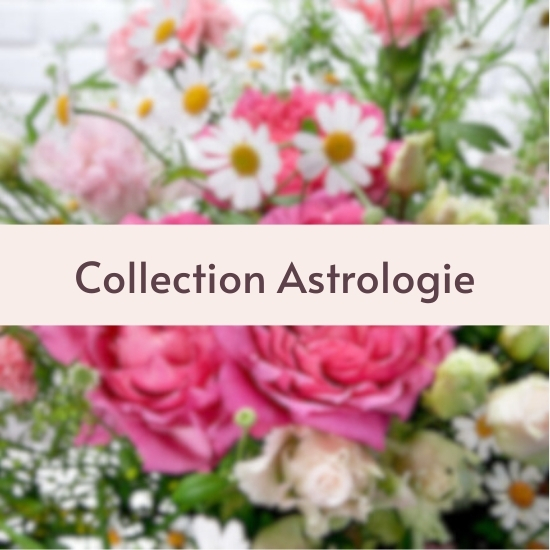 Astrology Collection