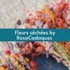 Fleurs séchées by Rosacadaques