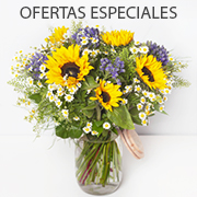 Ofertas