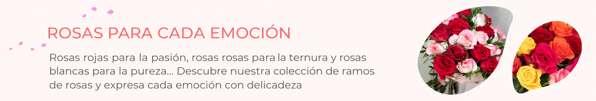 Ramos de rosas