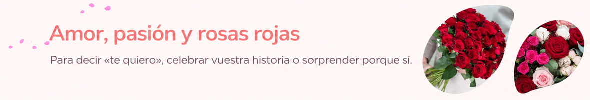 Colección de rosas rojas