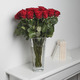 Red roses Premium