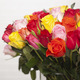 60 Rosas Multicolor