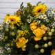 Encanto Amarillo -Ramo de flores amarillas a domicilio 3