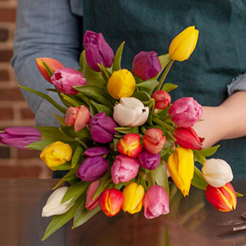 Ramo de tulipanes de colores