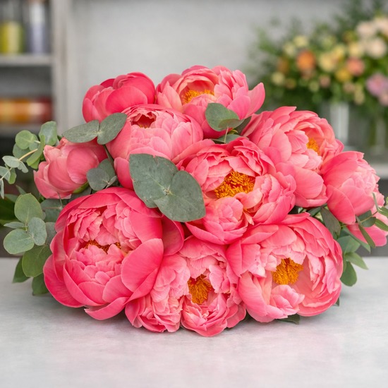 'Coral Charm' Peonies 4