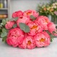 'Coral Charm' Peonies 4
