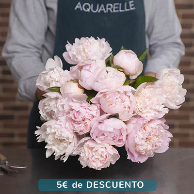 Envío peonías a domicilio a toda España | Aquarelle