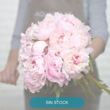 Send a sSuperb bouquet of peonies