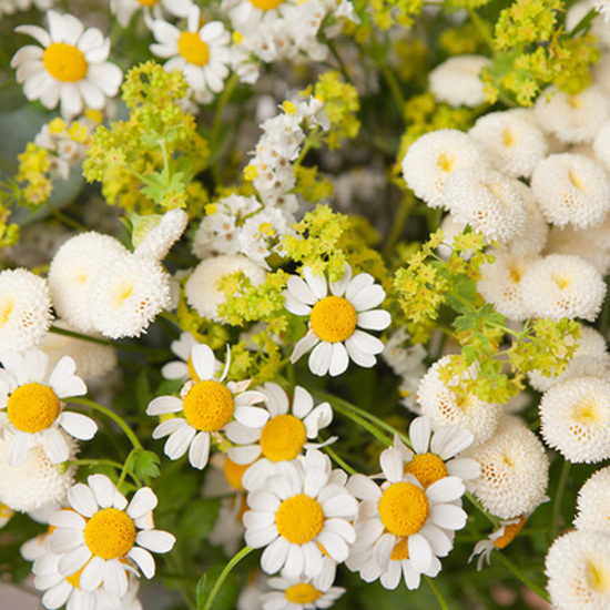 Ramo de flores campetres 2