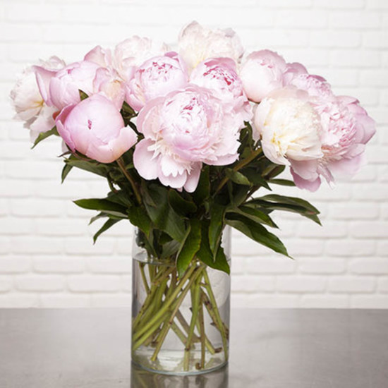 Send a sSuperb bouquet of peonies 3