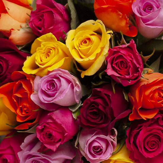 Flowers delivery spain - Roses to be sent to Spain. 2