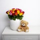Multi-coloured roses 3
