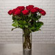 Red Roses for Spain 3