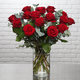 Red Roses for Spain