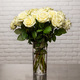 White Premium Roses