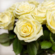 White Premium Roses 2