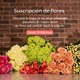 Suscripción de flores frescas 