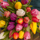 Tulipanes de colores 2
