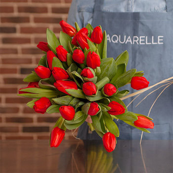 Red tulips