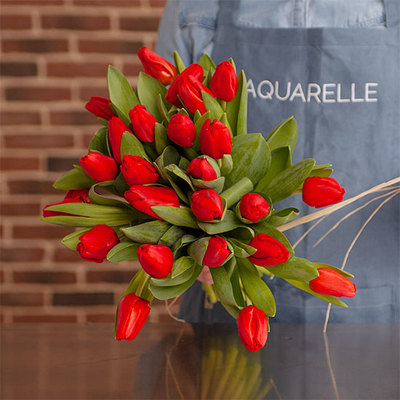 Envío de tulipanes a domicilio en España | Aquarelle