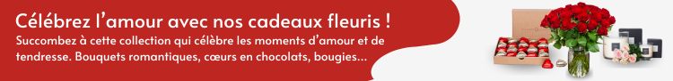 Bouquets de fleurs et Cadeaux d’amour