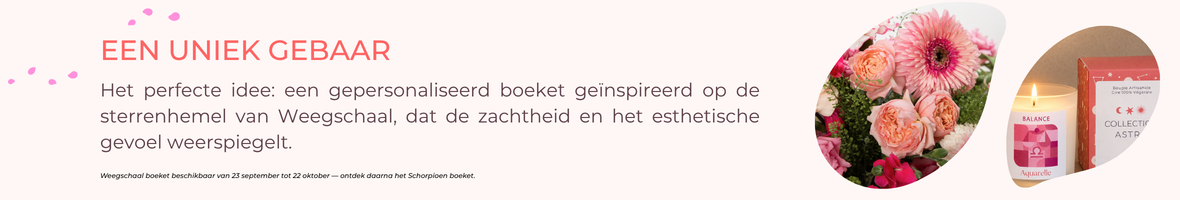 Collectie verjaardagscadeaus