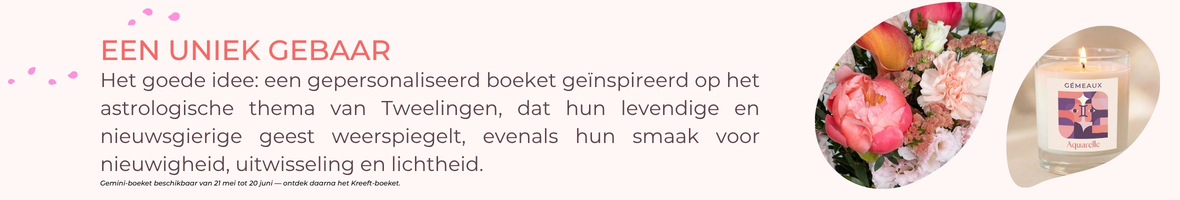 Collectie verjaardagscadeaus