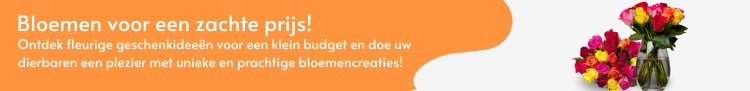 Onze koopjes