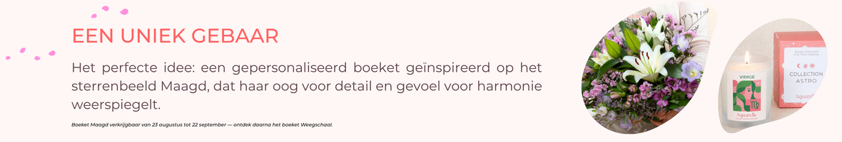 Collectie verjaardagscadeaus