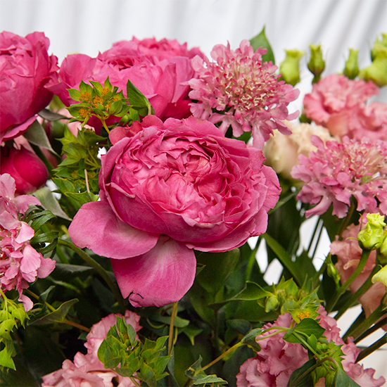 Danseuses en rose 3