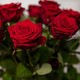 Boeket met grote rode rozen