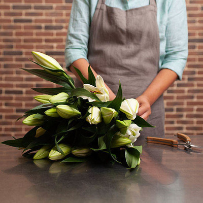 Perfumed white lilies 