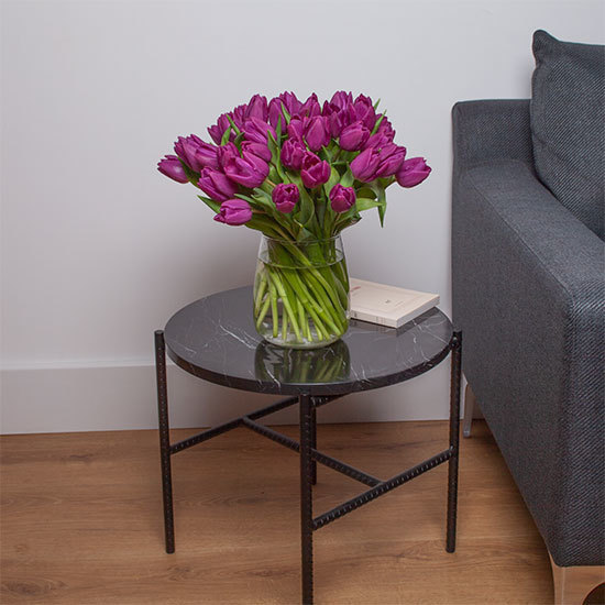 Tulipes Purple Prince 3