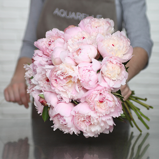Tender Peony Bunch