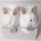 Charmant boeket voor geboorte met slofjes in vorm van een konijn