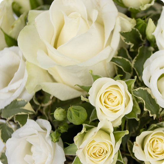 Colombe – Bloemstuk 3