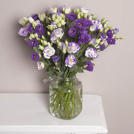 Delicate Lisianthus 3