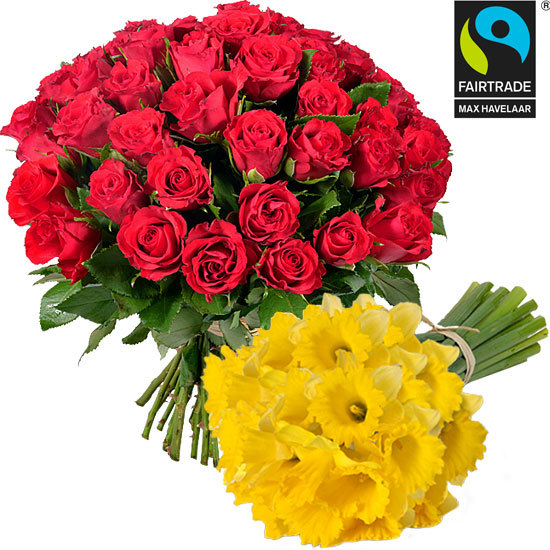 Bouquet of red roses + 30 daffodils