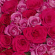 Een boeket van zachte rozen fairtrade