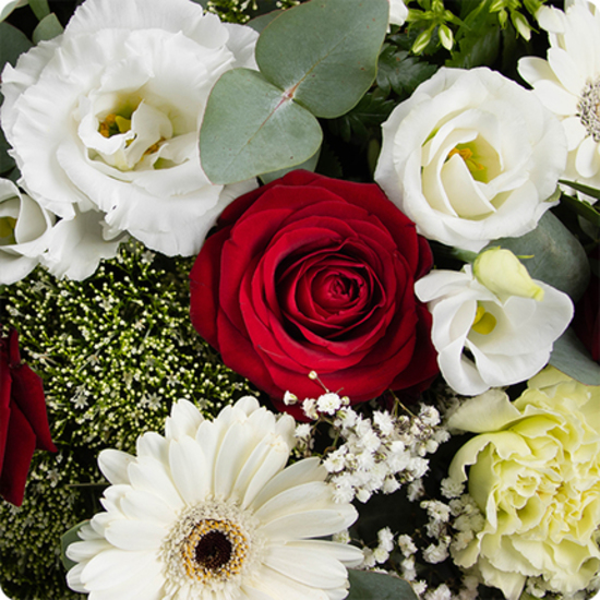 Gaïa - Rouwkussen in rood en wit 2