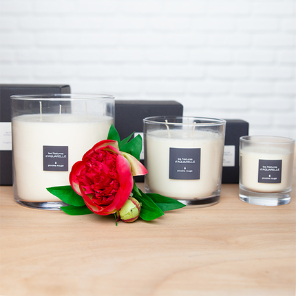 Red Peony scented candle
