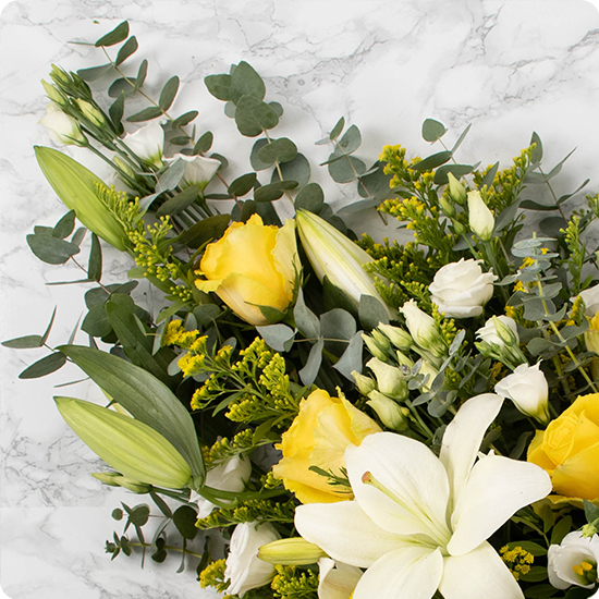 Kéa - Een zacht laatste afscheid 2