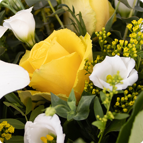 Kéa - Een zacht laatste afscheid 3