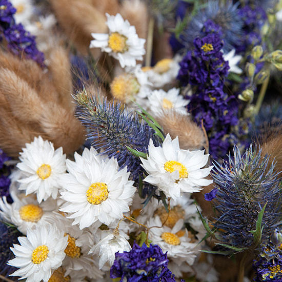 Douceur champêtre  2