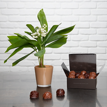 Delightful Duo: Lily of the Valley and Chocolates
