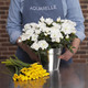 White Azalea and 30 daffodils