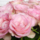 Lovely Jewel roses